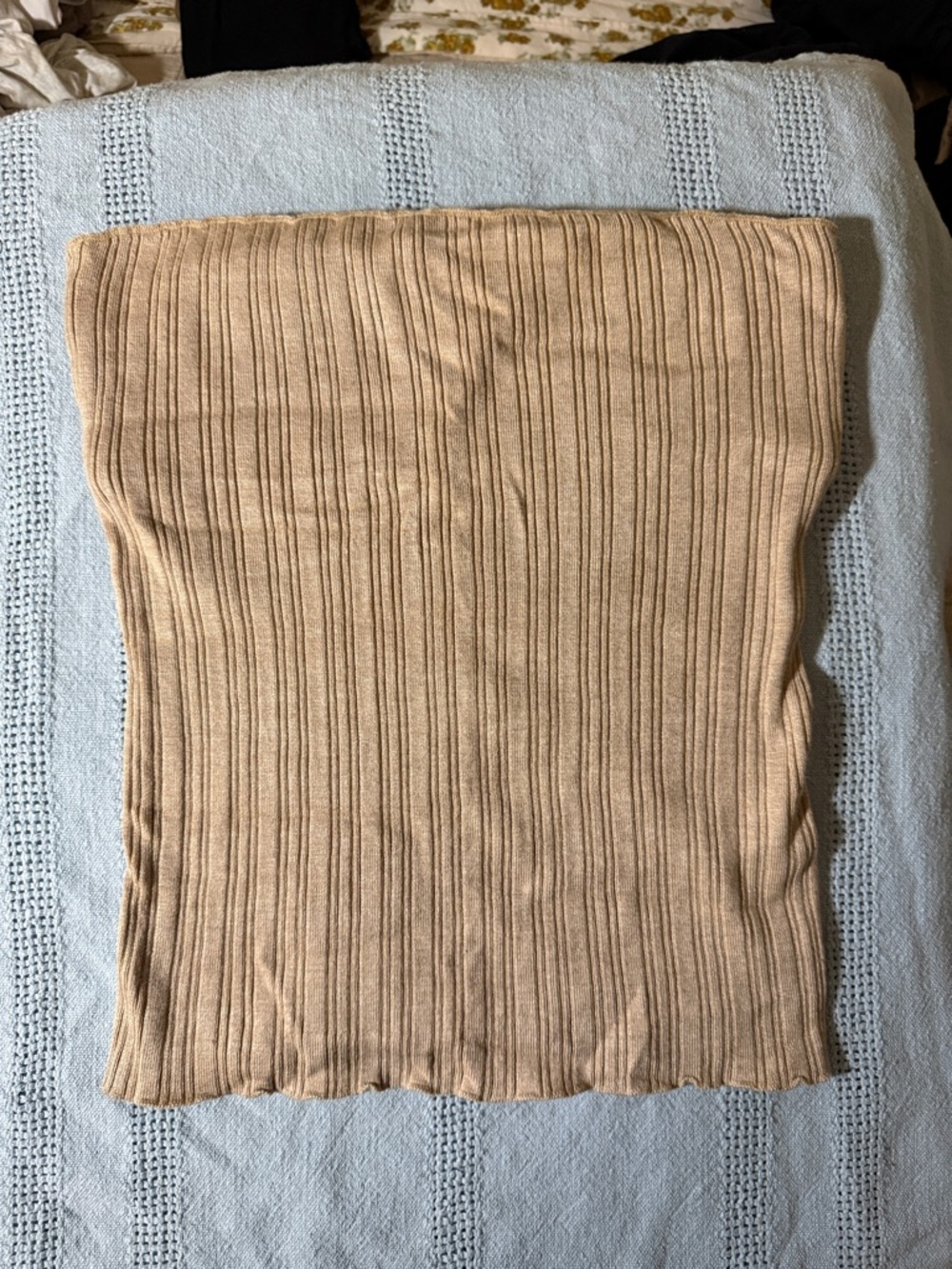 Beige Ribbed Knit Crop Tube Top - Women